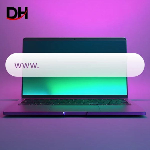 Dịch vụ hosting của Cty TNHH TM và DV Công nghệ D&H ổn định, nhanh chóng